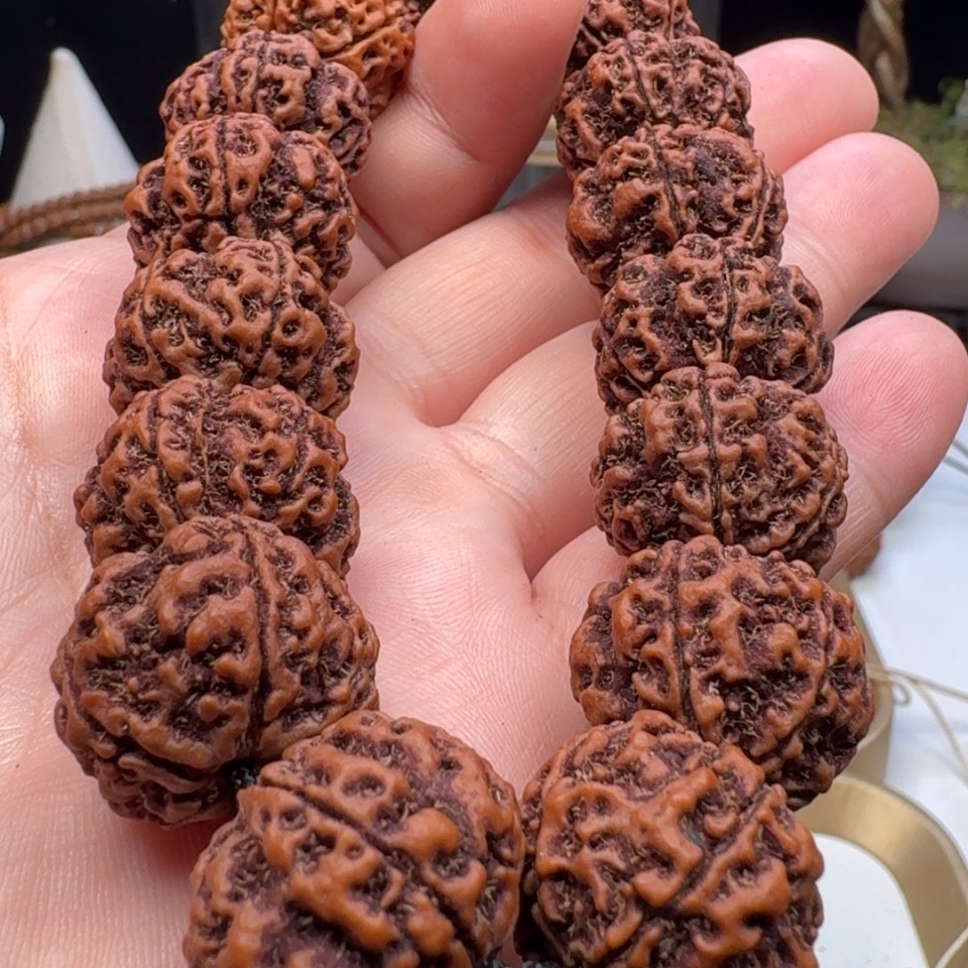 金刚菩提手串梅花双龙