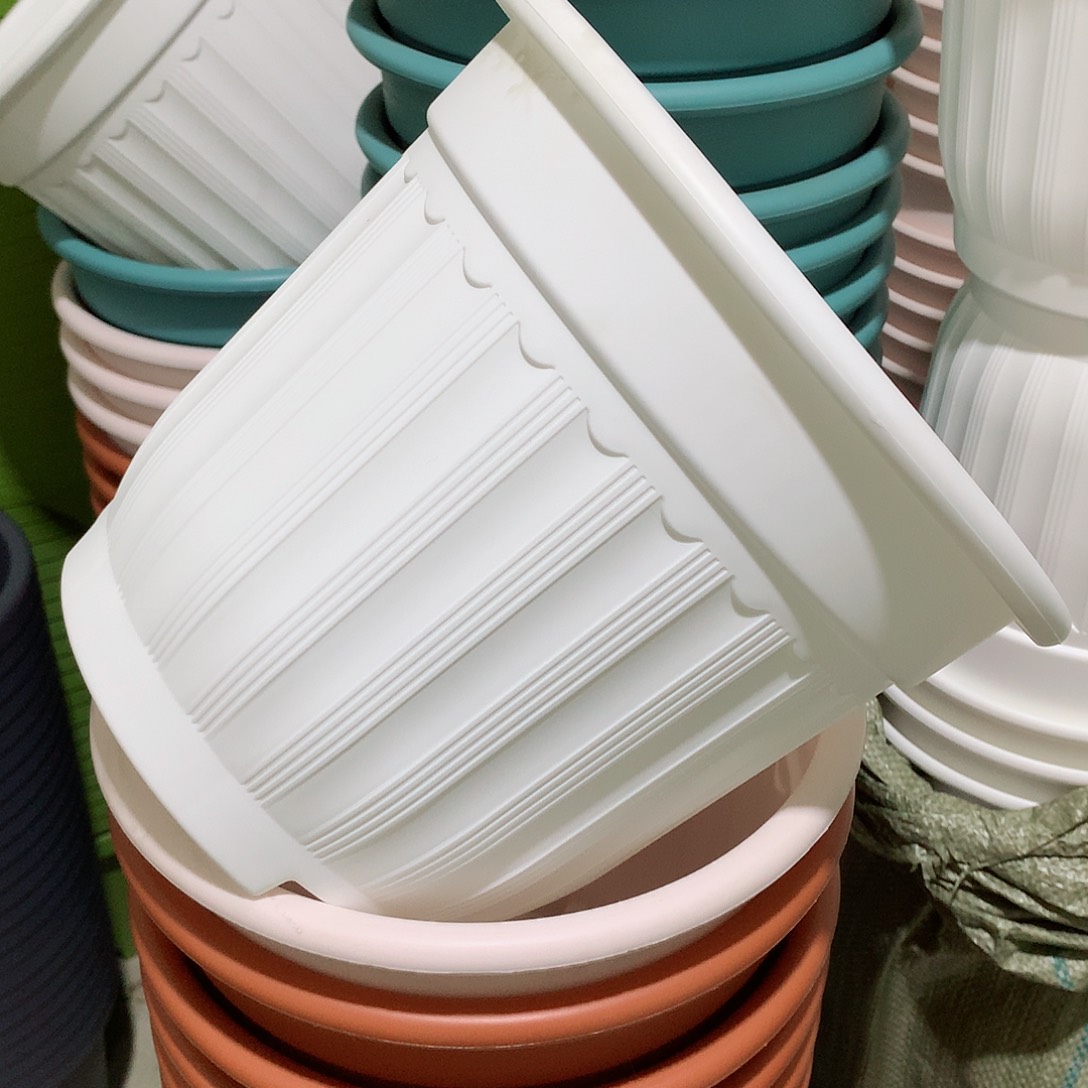 树脂罗马口28白5个无托