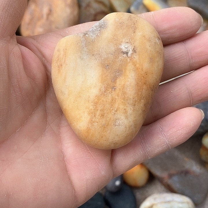 手链未镶嵌和田玉（糖玉）七*末