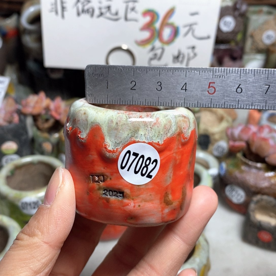 花盆拍3送一个小礼物