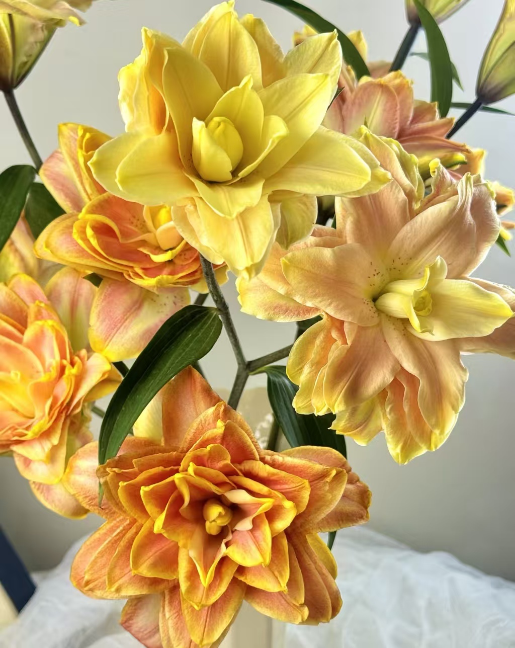 A4【秋色之约】重瓣百合#橘子柠檬清香#吸色黄色高级轻奢鲜花