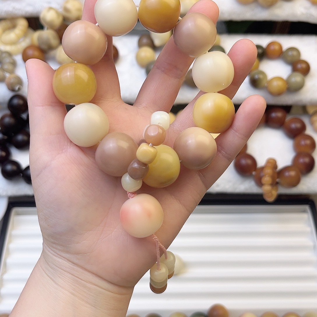 手串菩提根/象牙果