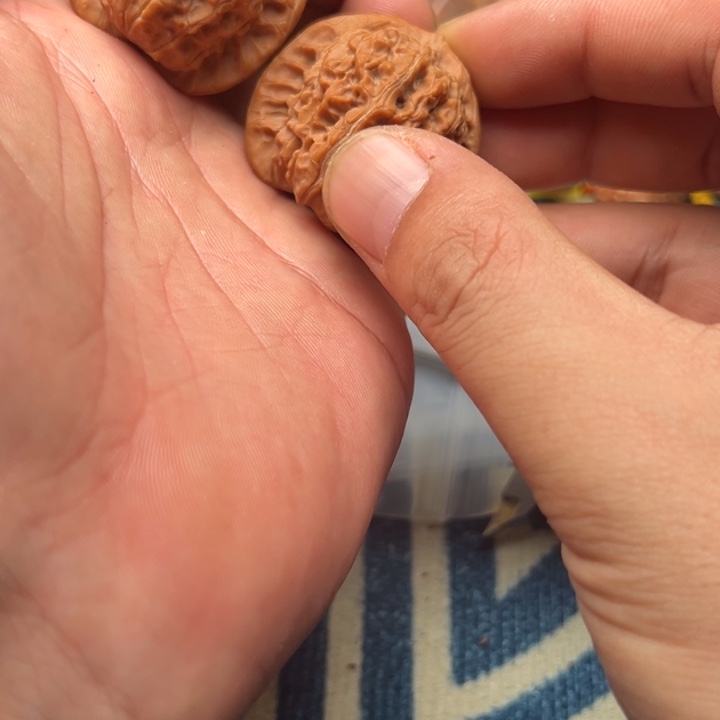 桃核吊坠雪麒麟39