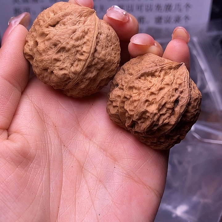 核桃云南野生铁核桃43号40mm