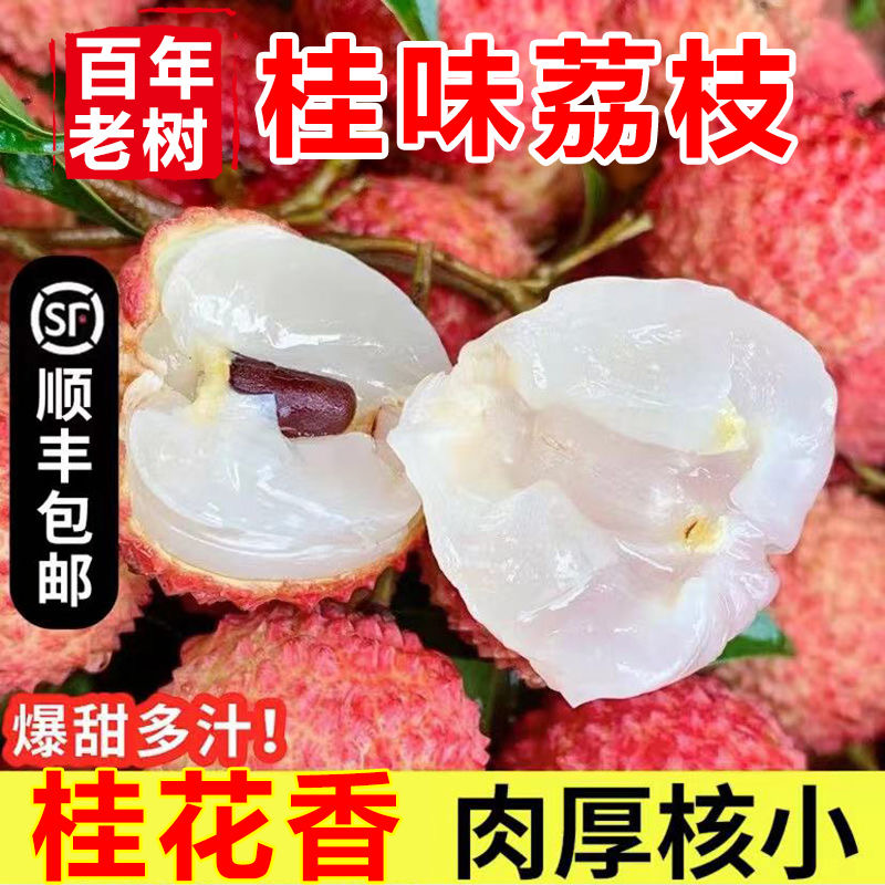 《顺丰冷链》老树桂味荔枝新鲜现摘现发当季水果包邮1斤/6斤