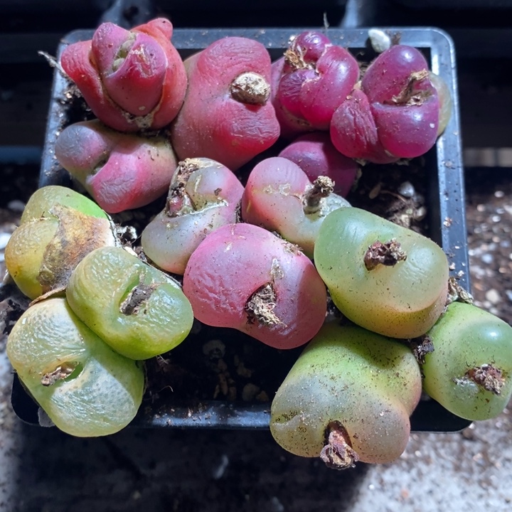 27345有伤一组一组