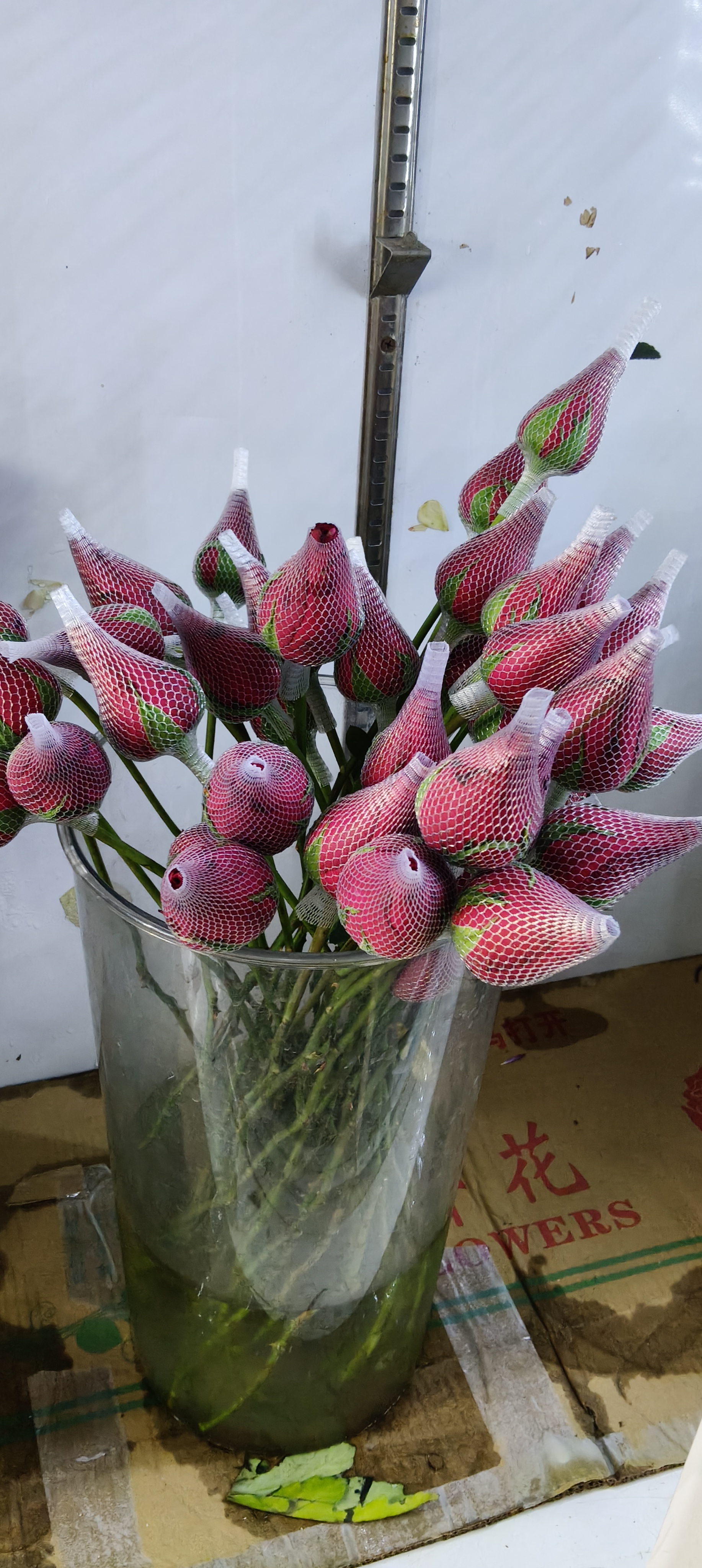 红玫瑰满天星花束