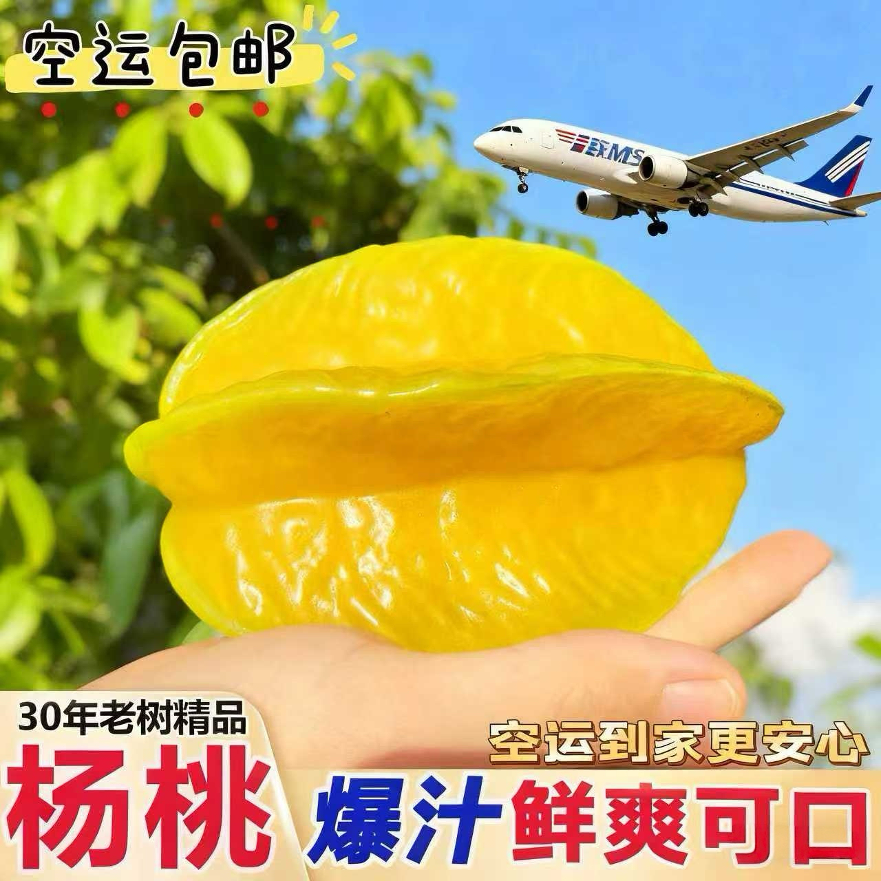 【空运包邮送上门】福建漳州下河树上熟香蜜甜杨桃孕妇水果产地直发