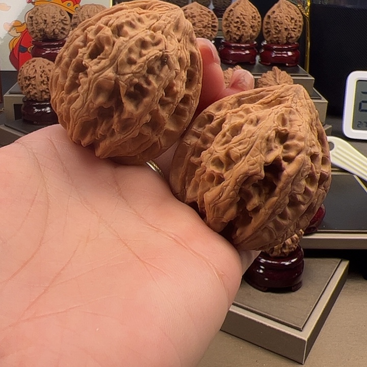 文玩核桃把件43 大 沽石 b-025