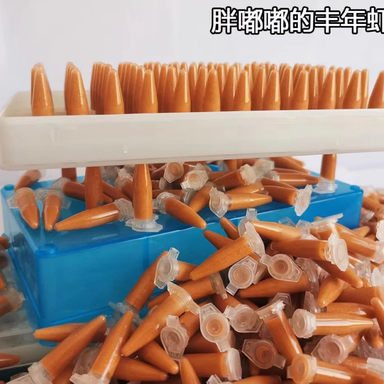无水超浓丰年虾卵幼虫冷冻保鲜免孵化小鱼开口鱼食