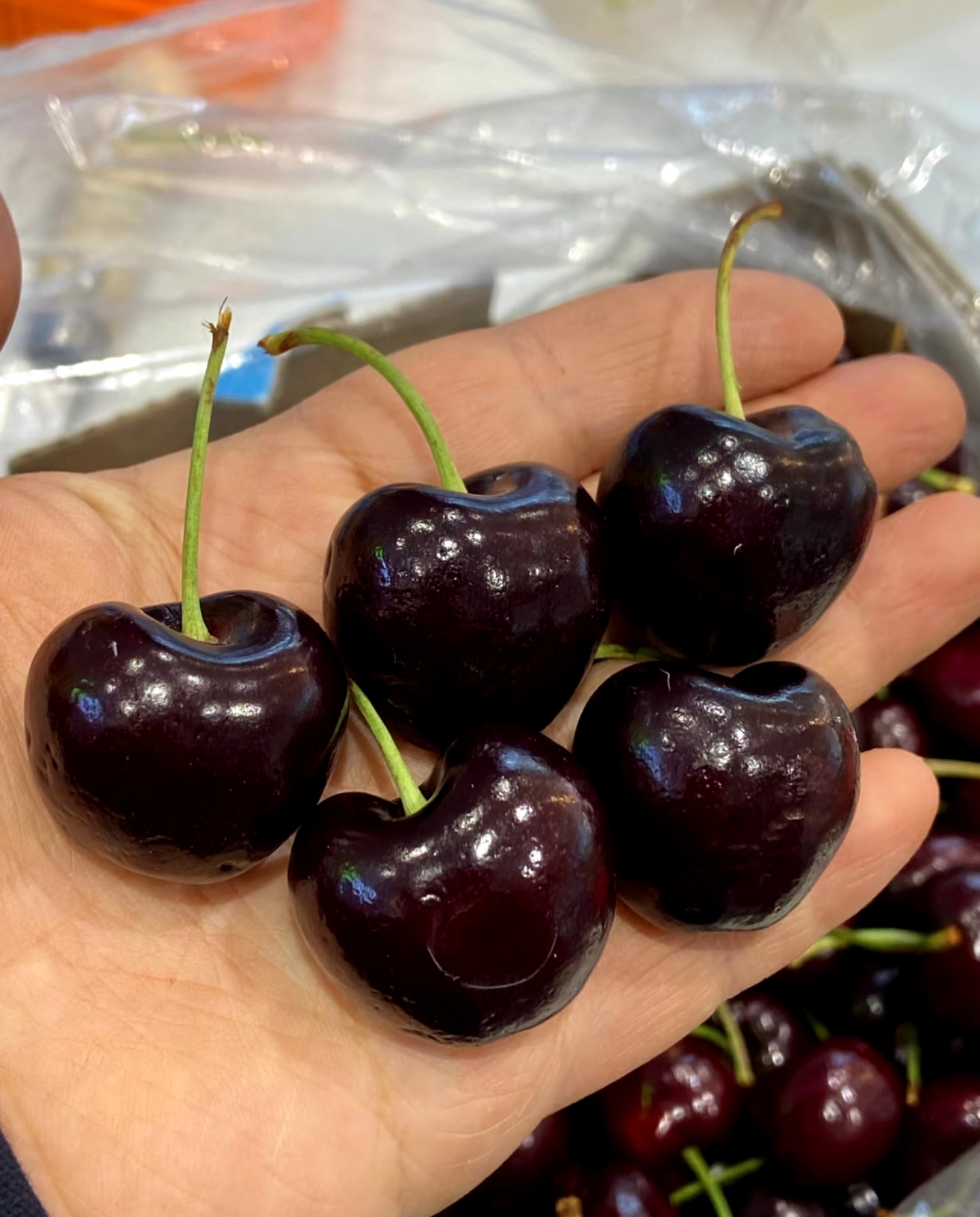 桑提娜4JD超大超甜车厘子一箱5斤装（原箱） 内附果径卡