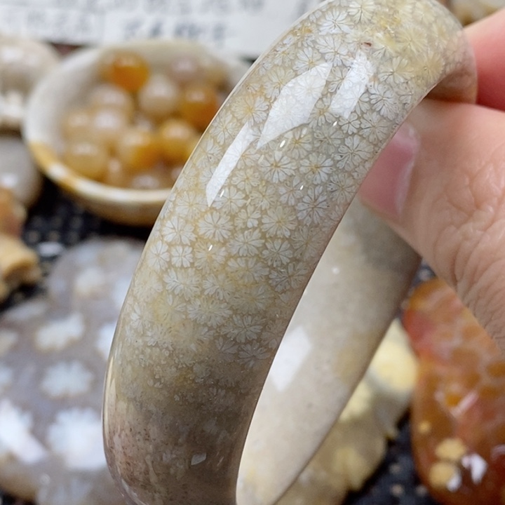 硅化珊瑚（珊瑚玉）颈饰未镶嵌