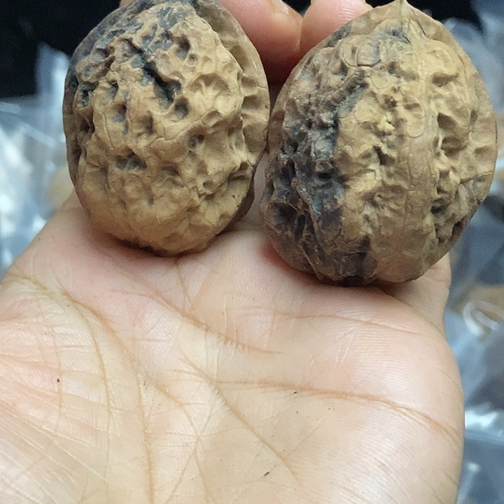 文玩核桃把件云南铁核桃基地39