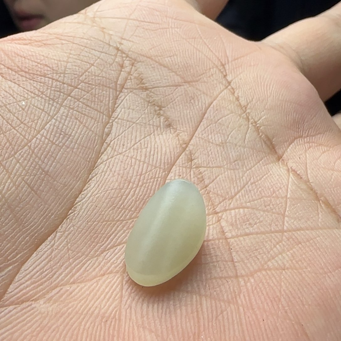 和田玉颈饰未镶嵌蛋面