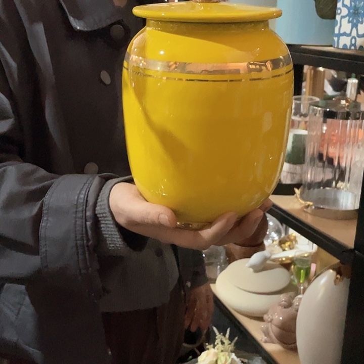 陶瓷花瓶，仿真绿植。