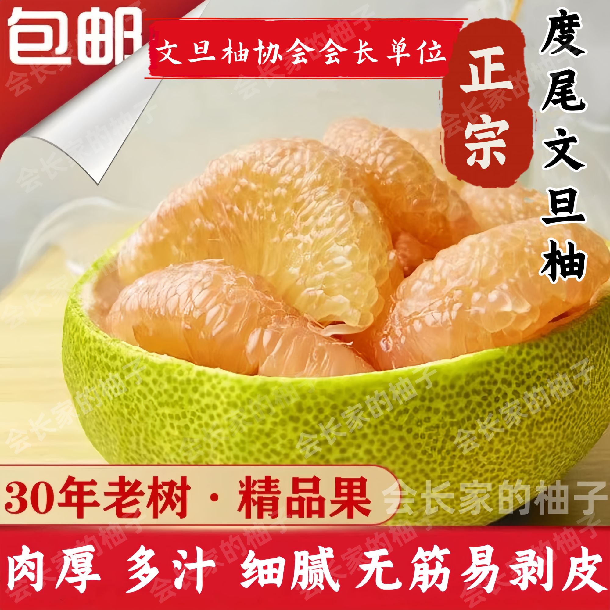 【会长家的柚子】福建度尾文旦柚子无孔蜜柚红心柚现摘新鲜水果