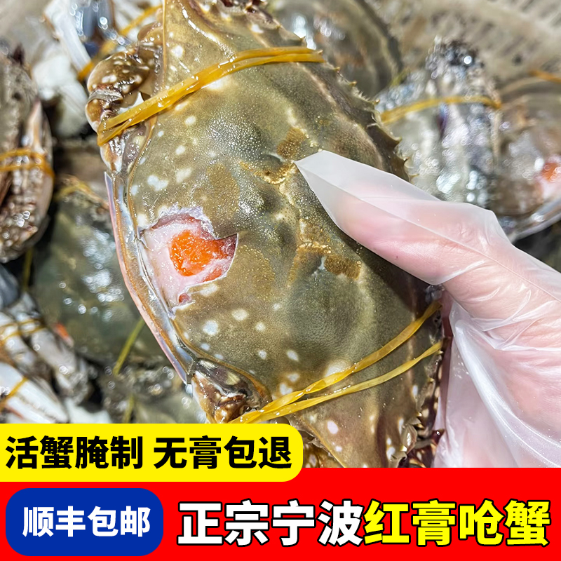 【大号】5两左右/只（家庭版）橘红膏呛蟹 整只生腌咸蟹不可蒸煮