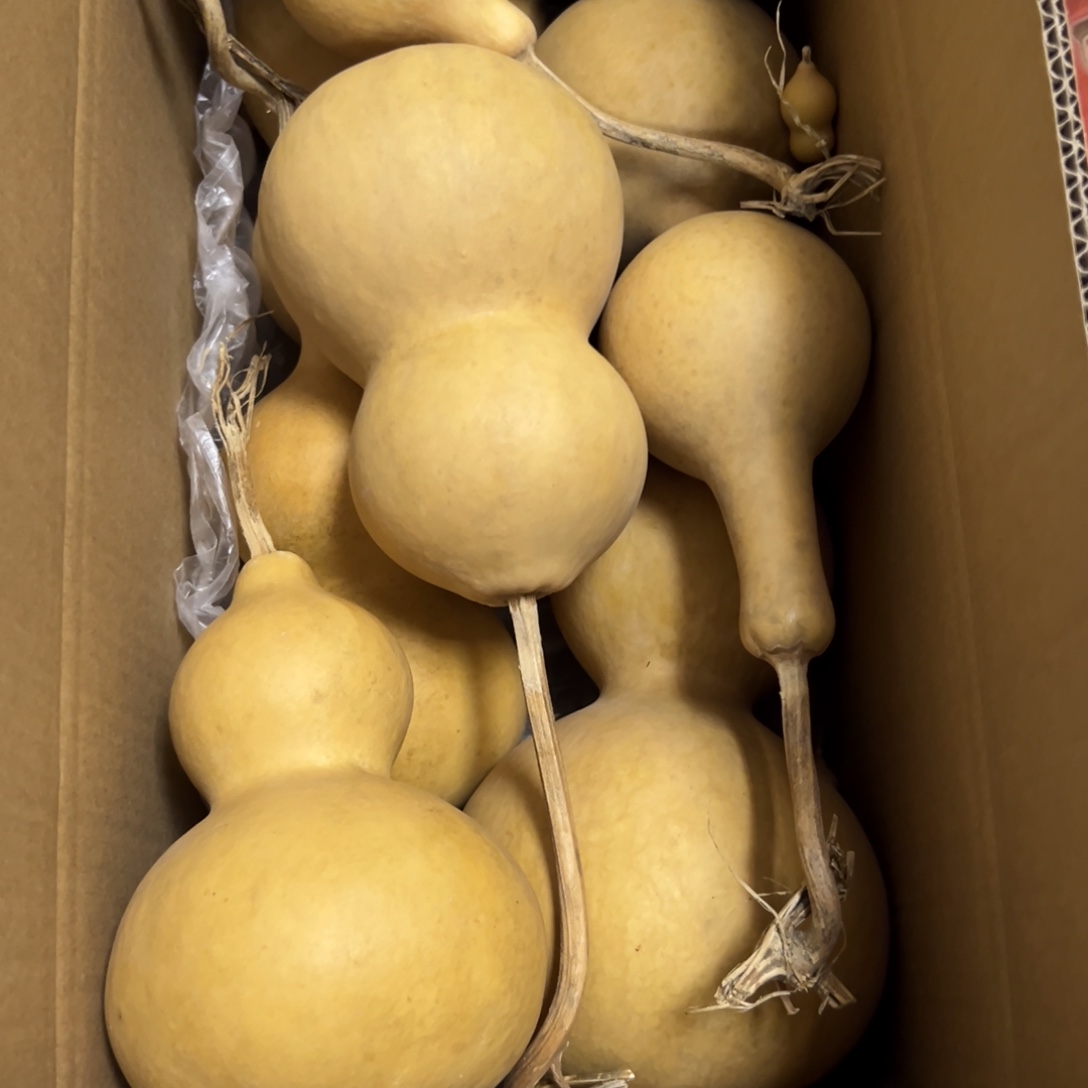 老***长有机玻璃葫芦葫芦葫芦