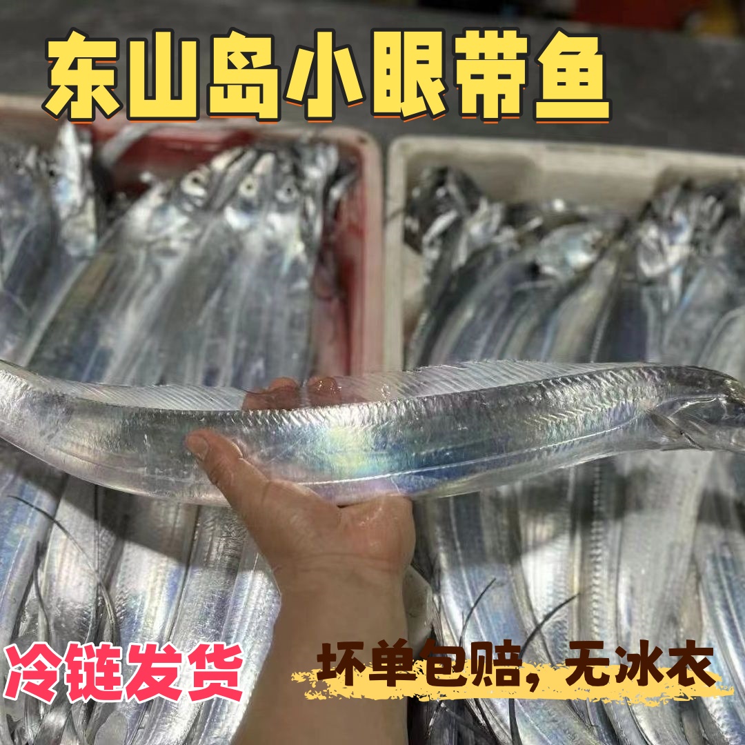 东山岛本港手钓带鱼3-4条一斤，3指宽左右新鲜刀鱼冰鲜发货大带鱼