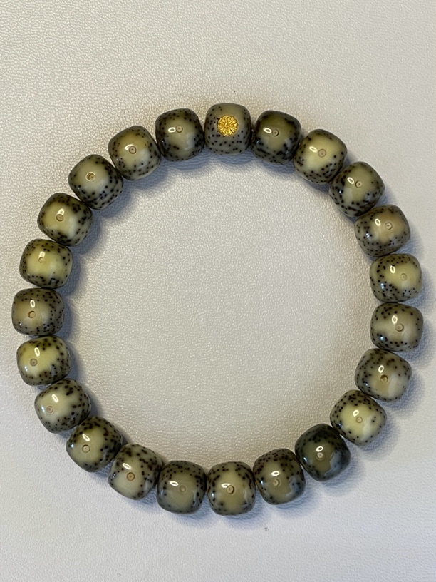 星月菩提石玉料绿冰大眼睛10*9 标24k 油性足 全冰透 一物一图