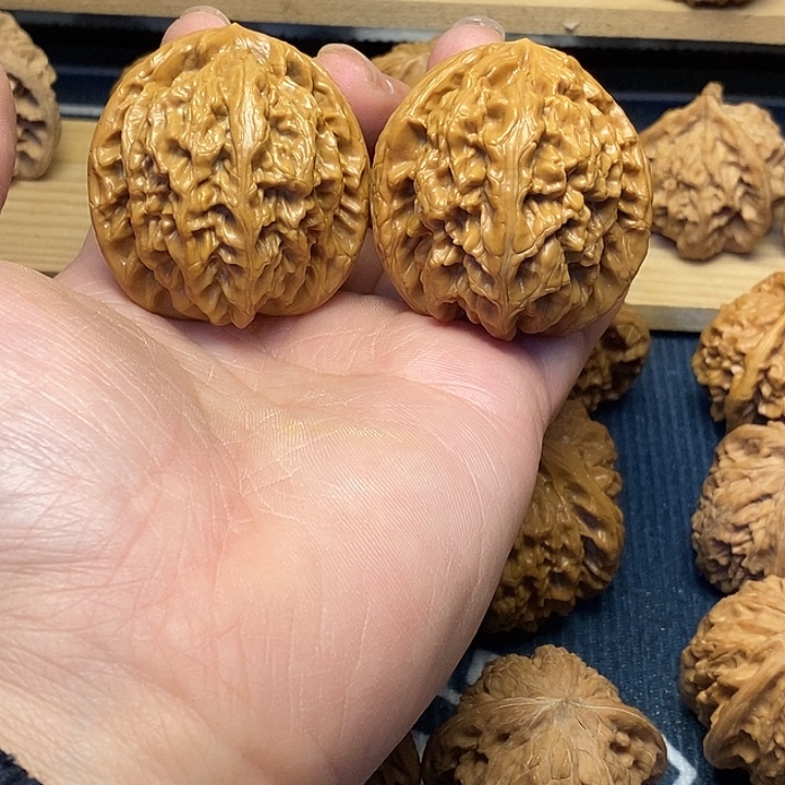 核桃46红锦鲤福利核桃