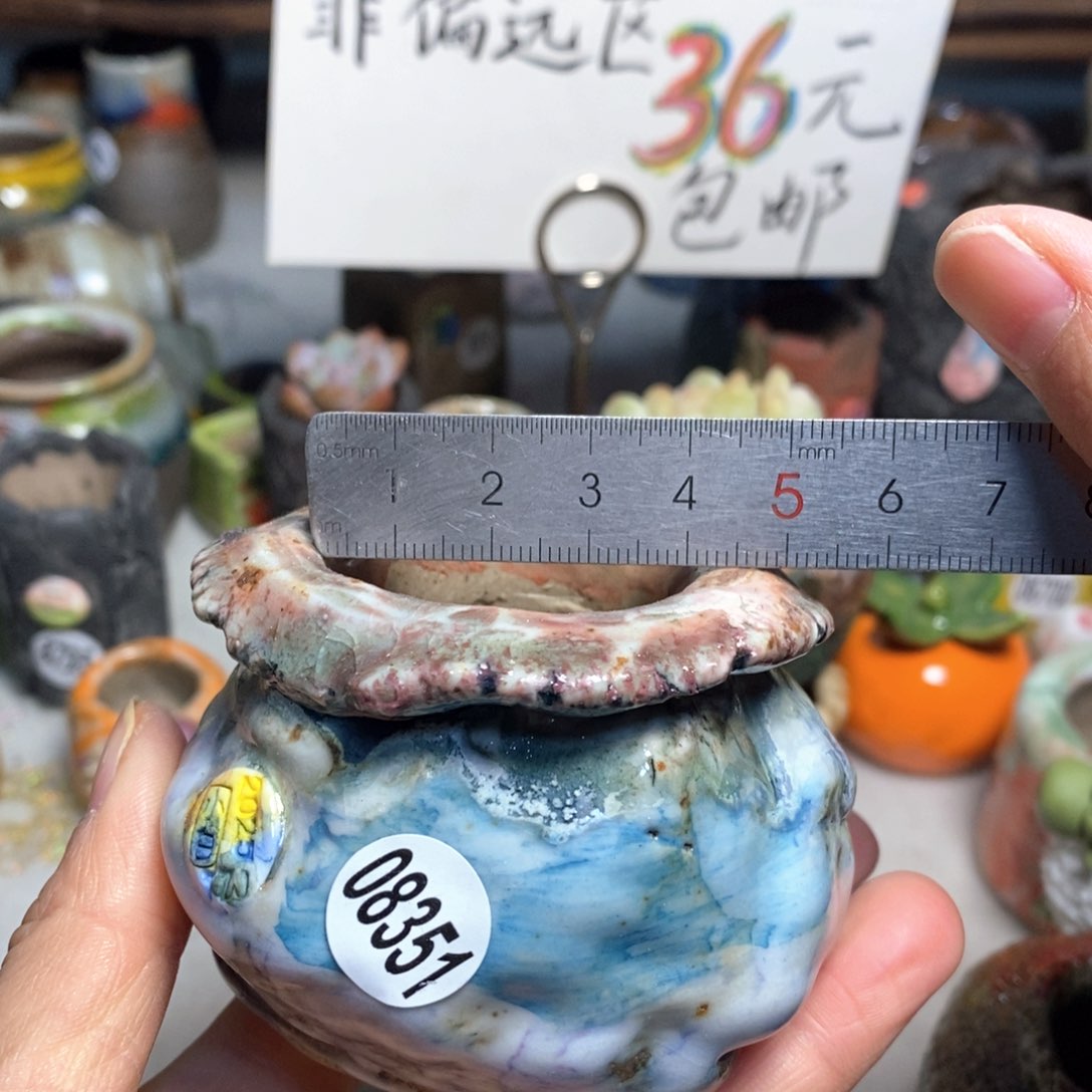 花盆拍2个送一个小礼物