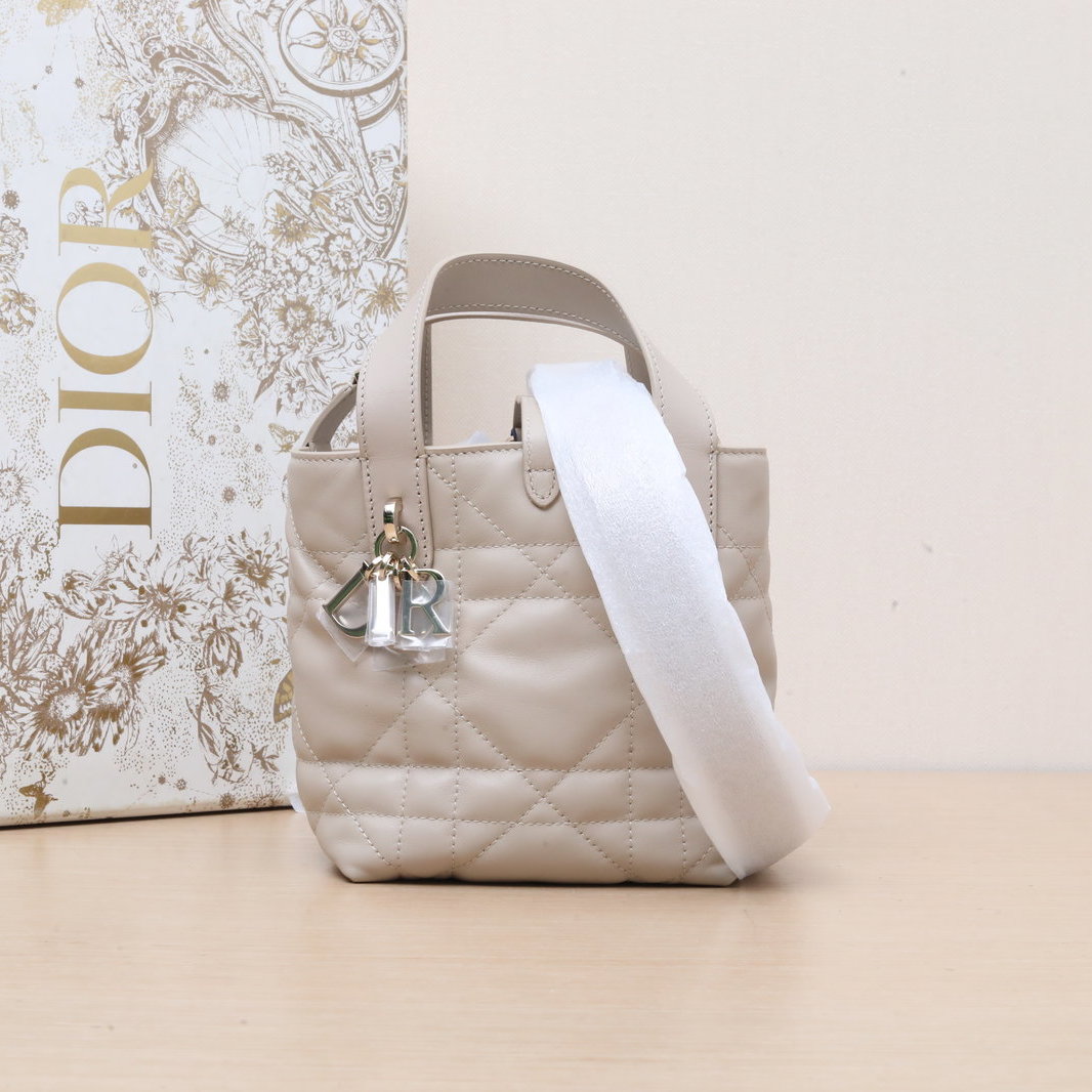 未使用 DIOR/迪奥 小花6枫 米色 金扣 2025 Toujours 竖版 13cm