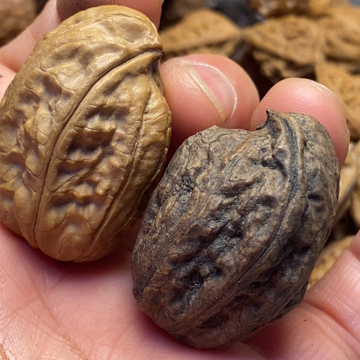 吊坠桃核送一只37