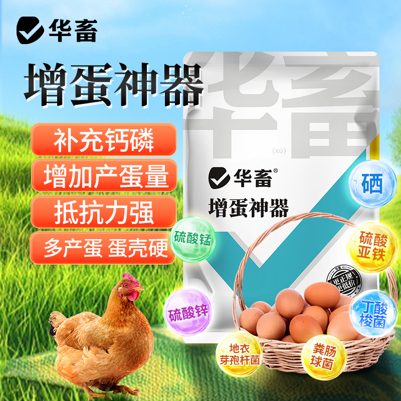 增蛋宝蛋禽饲料添加剂蛋多多催蛋多下蛋延长产蛋期鸡鸭鹅鹌鹑S商品图