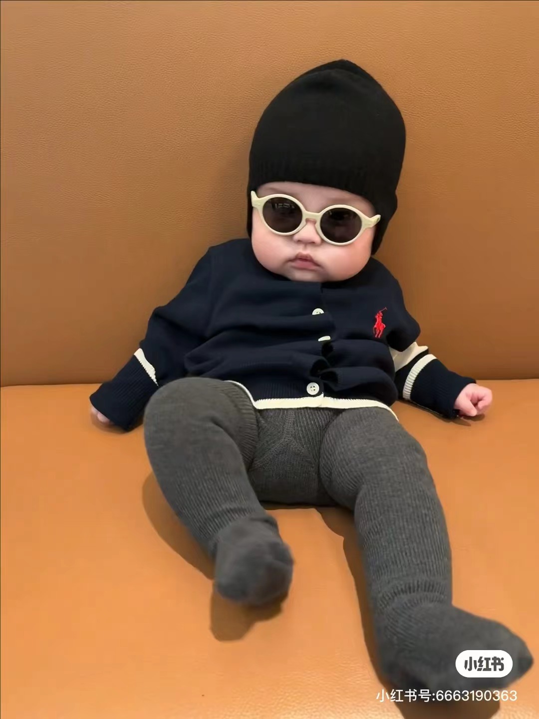 胖胖咪童品店腊肠狗背心爬