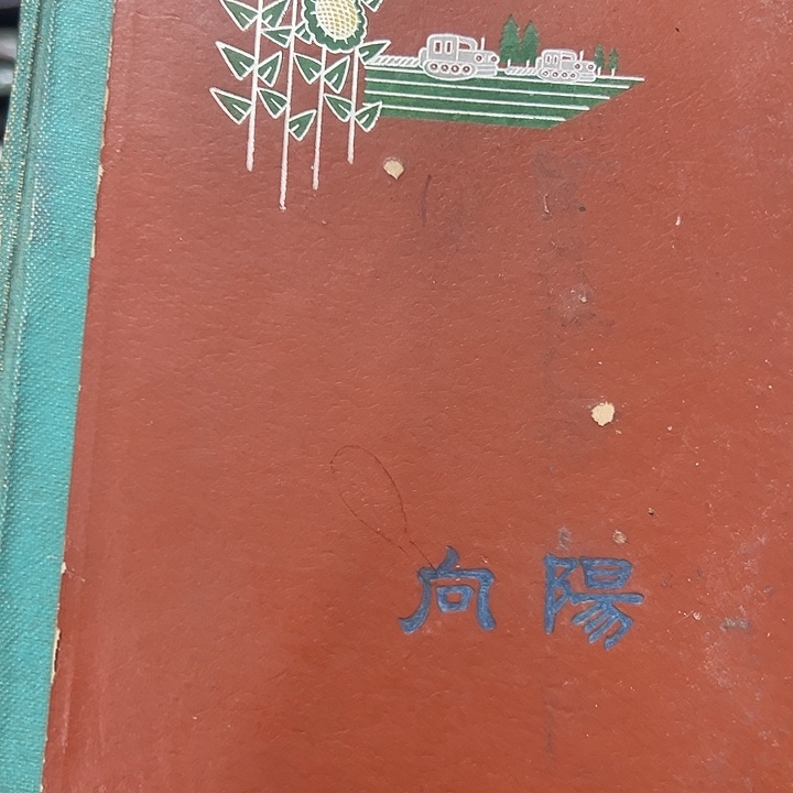 *****杂色豆（科檀/科特迪瓦檀木）