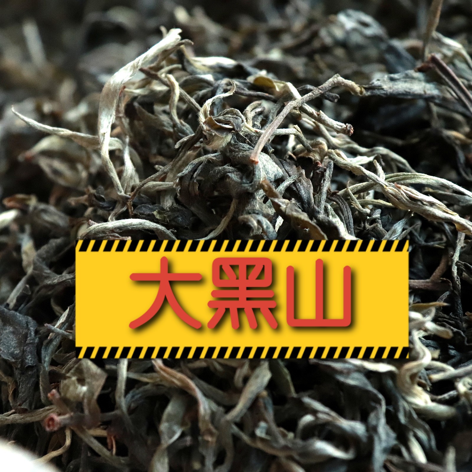 【李二狗的茶】2025年大黑山古树纯料100克