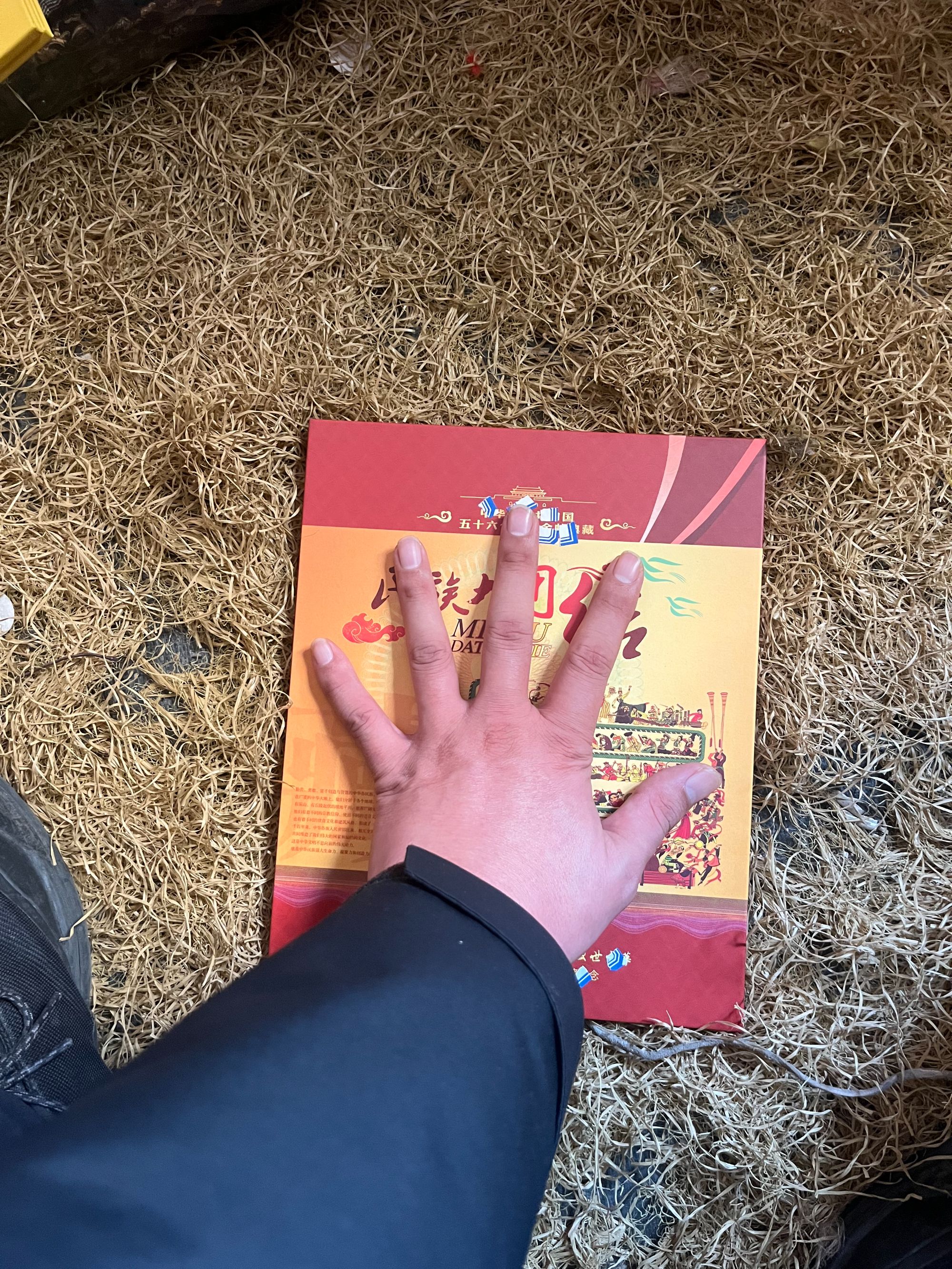 册大团结精品摆件链接