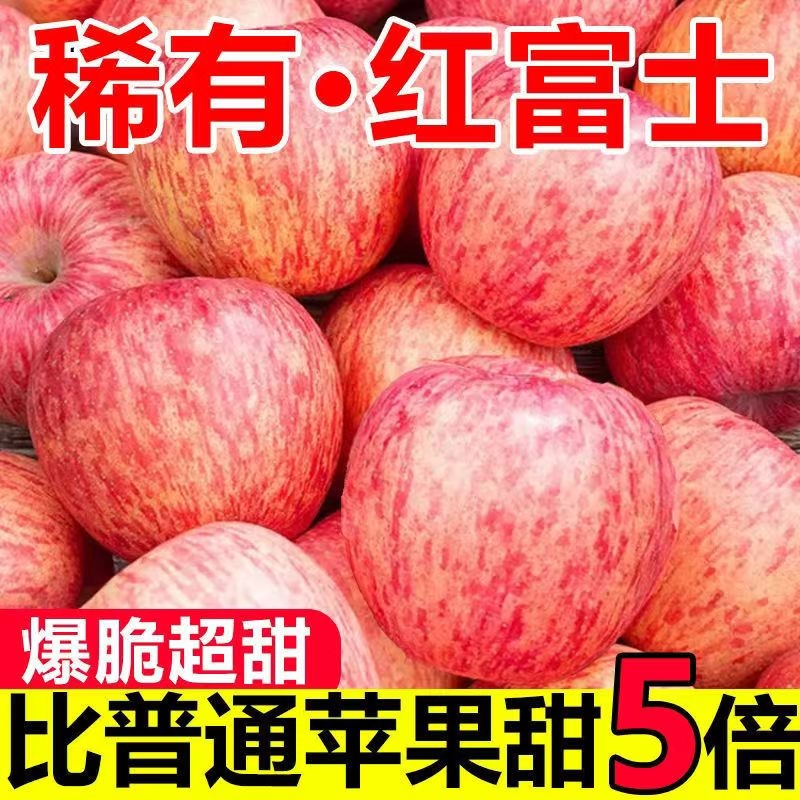 正宗山东红富士苹果新鲜脆甜多汁产地直发