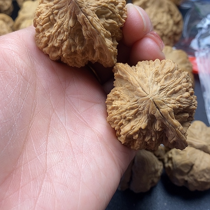 张***良吊坠龙脊菩提满天星46