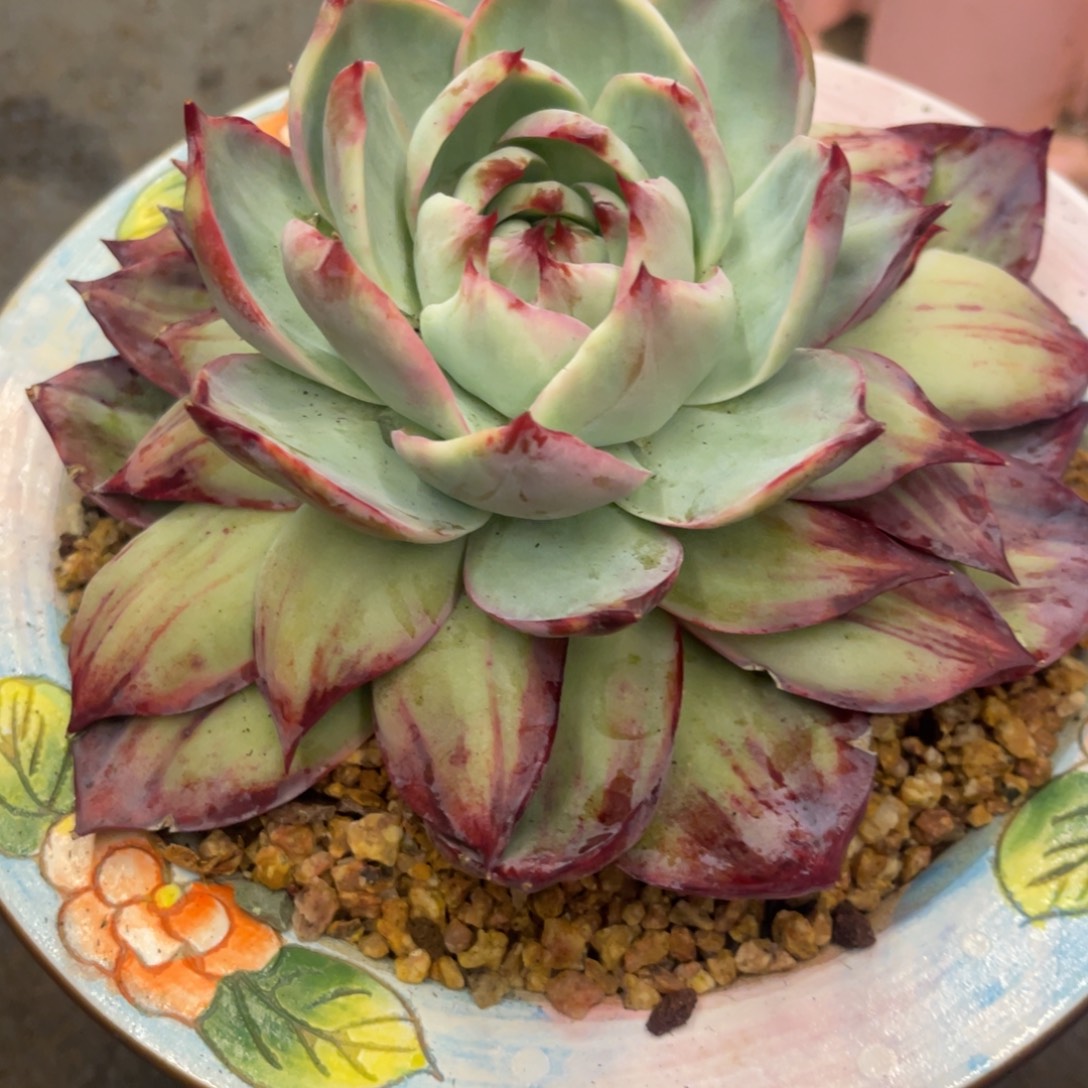 386868866868686868686868