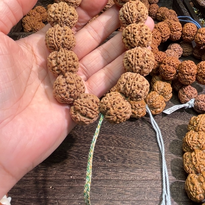 纵***海手串金刚菩提梅花