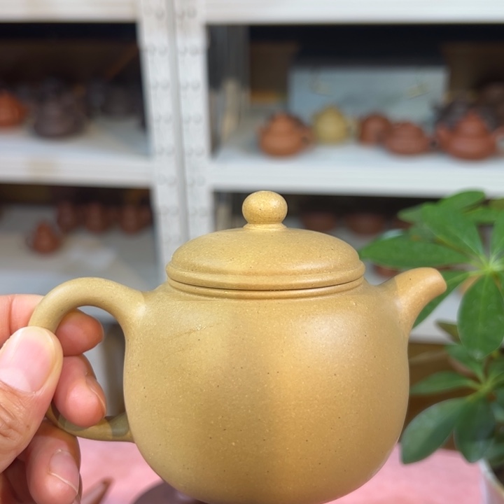 紫砂茶壶本绿匏尊180cc