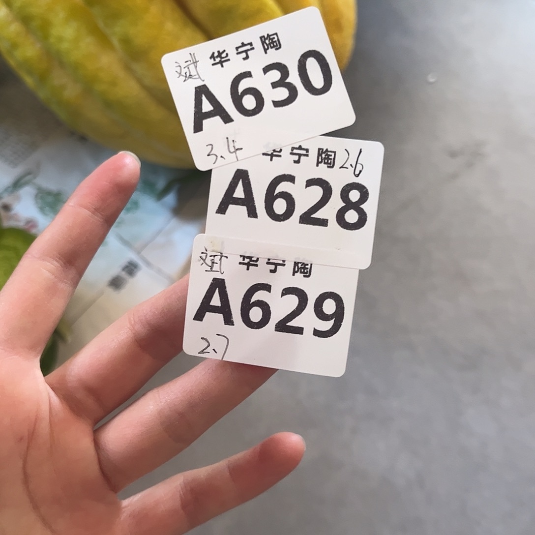 斌***࿐华宁陶华宁陶华宁