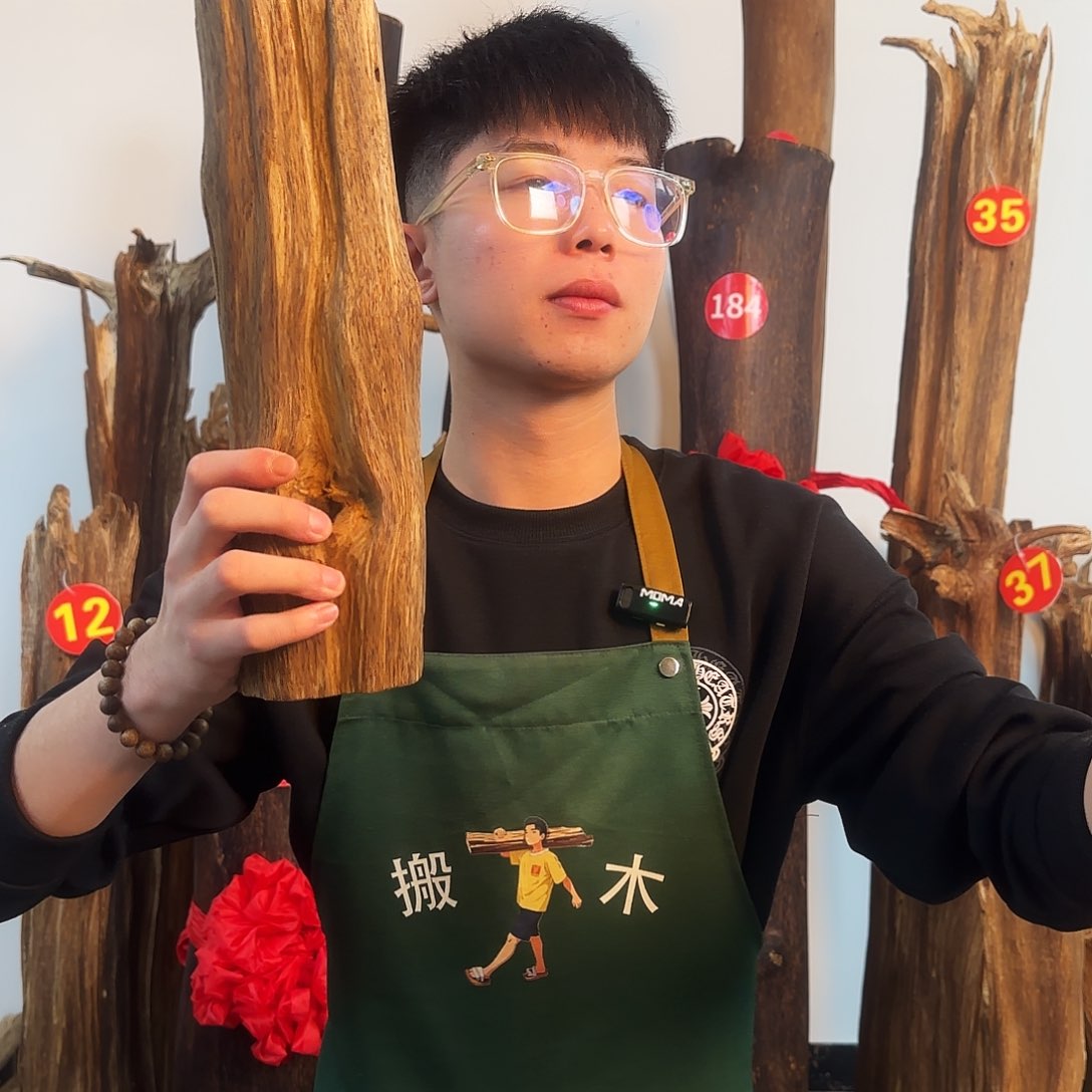 沉香摆件天然沉香原木摆件➕底座