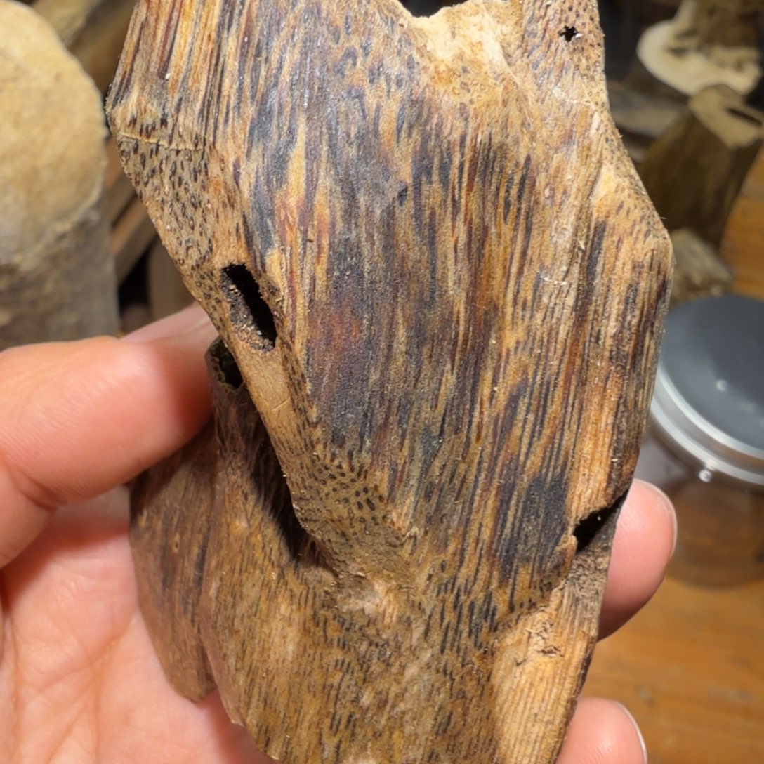 棋楠沉香白奇块料24k