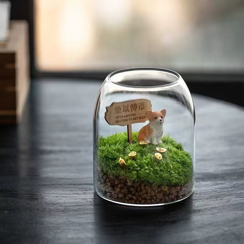 【坐以待币】植愈苔藓玻璃微景观室内桌面创意懒人绿植盆栽趣味好养