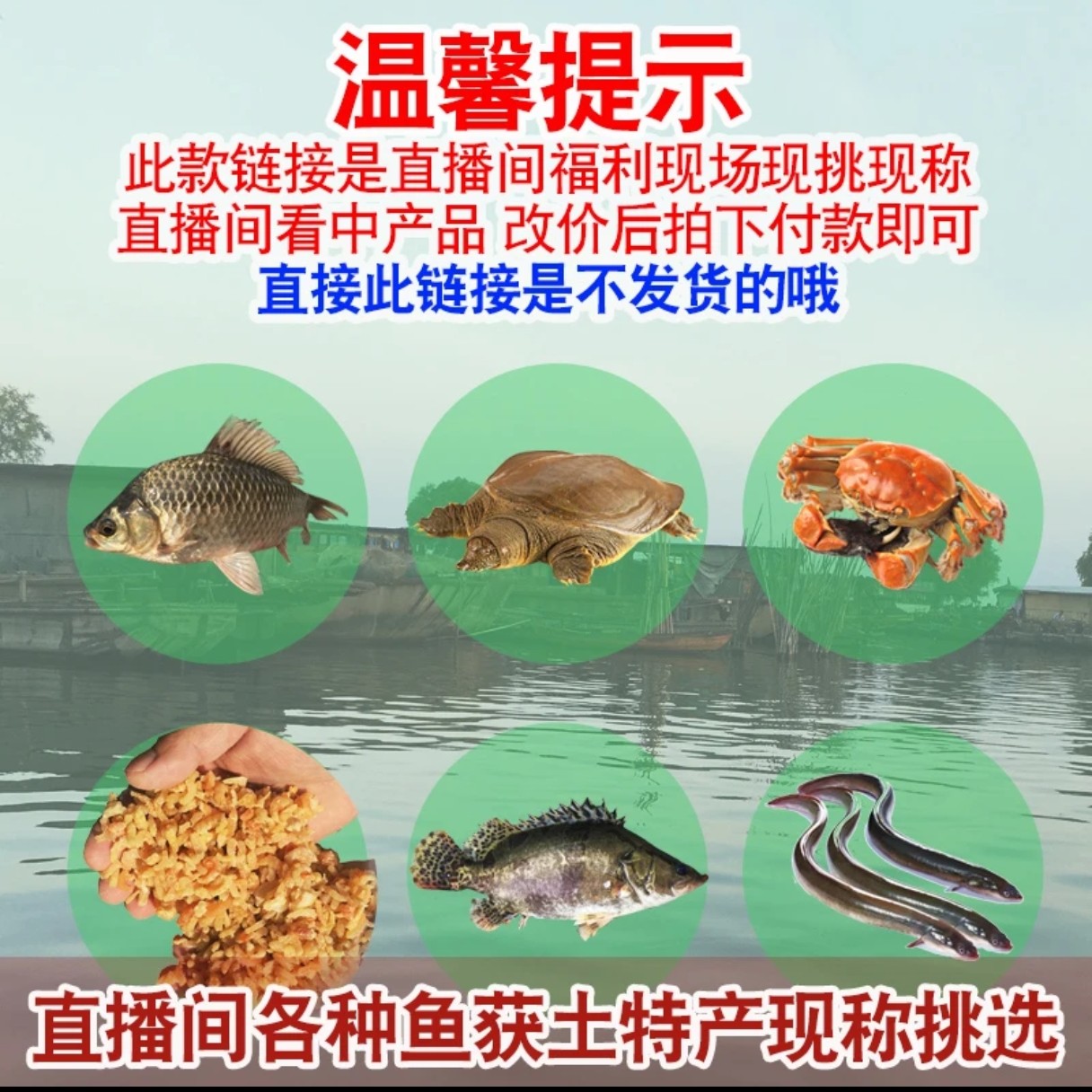 直播间现称现拍各种淡水鱼获鲜活宰杀现称顺丰京东冷链包邮到家