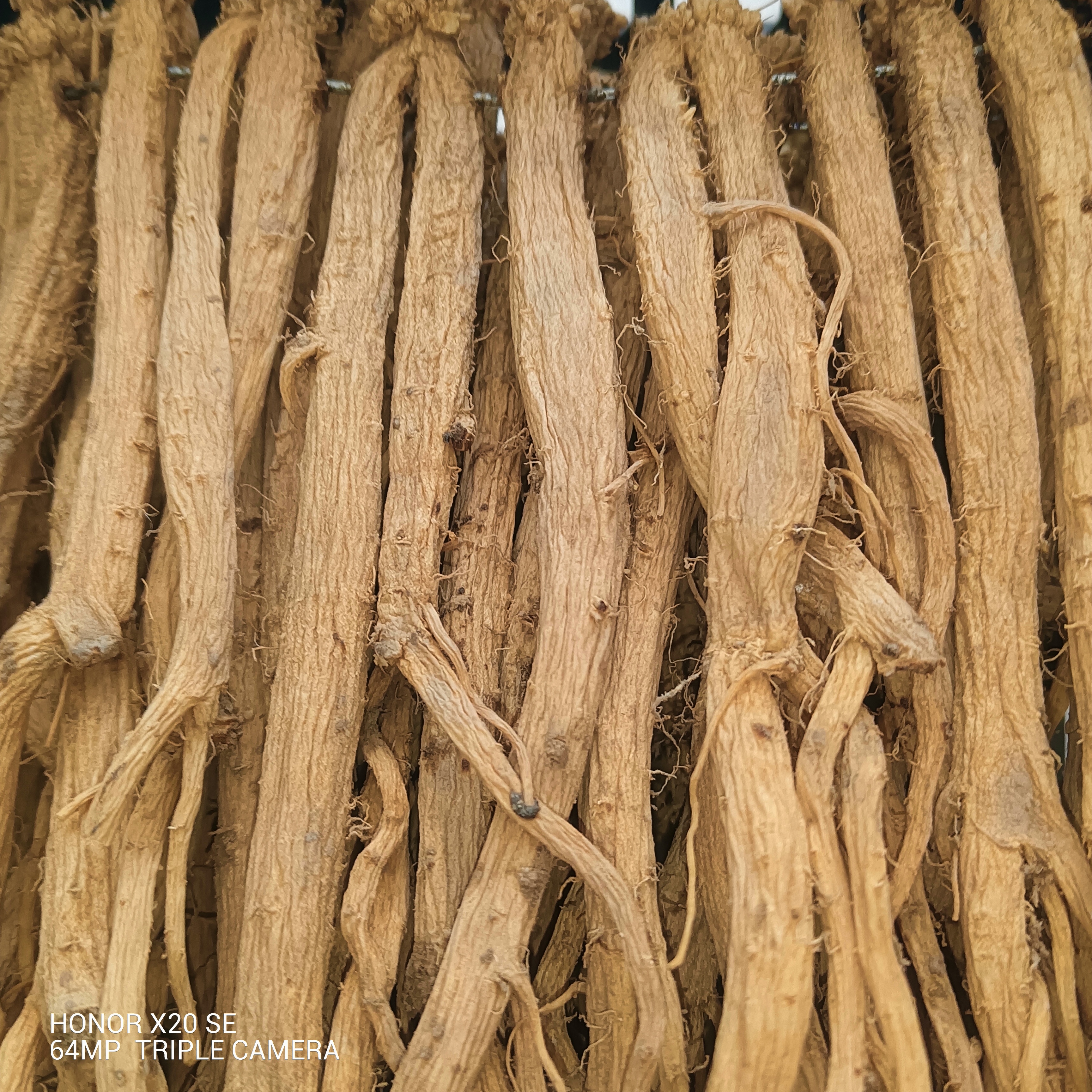 甘肃漳县种植党参250g～500g包邮