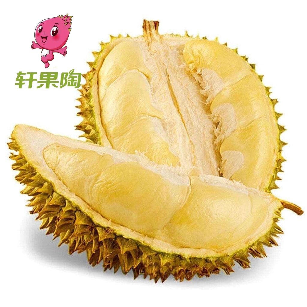 【体质多多】金枕榴莲  整果  