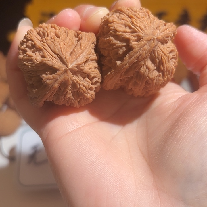 嘻***哈大叶紫檀（黑酸枝木类）