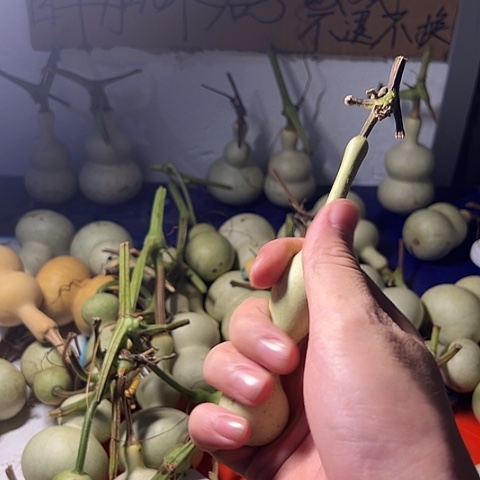 胡***）哈哈哈哈哈哈哈哈