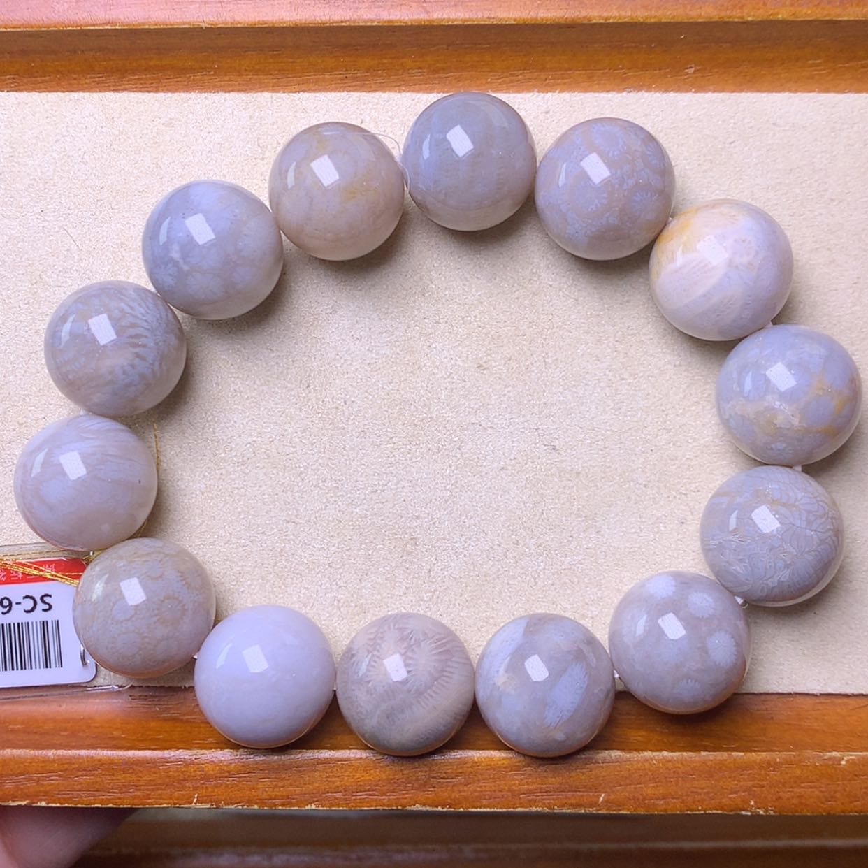 【闪购商品】硅化珊瑚（珊瑚玉）手镯未镶嵌