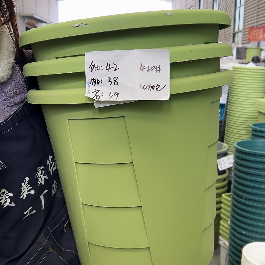 玫瑰盆420#果绿4个无托