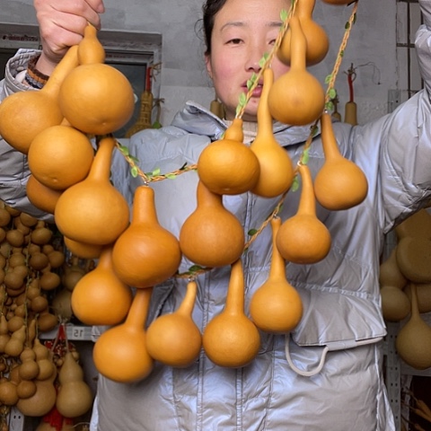 天然植物葫芦文玩